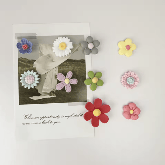 10-Piece Refrigerator Magnet Set – Strong Magnets for Kitchen, Office & Home Organization